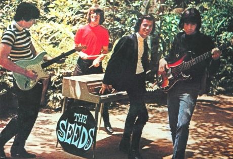 Seeds: Το garage - psychedelic group από το Los Angeles! 
