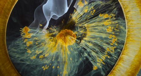 Το Voyage of Time: Life’s Journey του Terrence Malick έρχεται στη Στέγη...