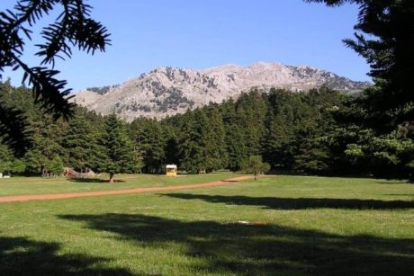 Κάντε μια βόλτα στην Αρβανίτσα να δείτε τι σημαίνει συναυλία σε ανοικτό χώρο 