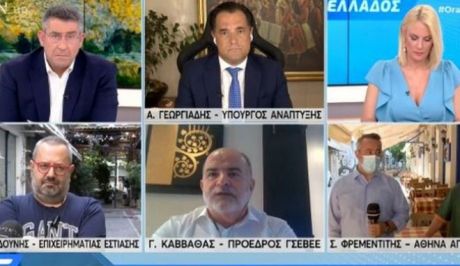 Γεωργιάδης: "Θέλετε χειμώνα να σας ξανακλείσουμε και να χρεοκοπήσετε ή όχι;"