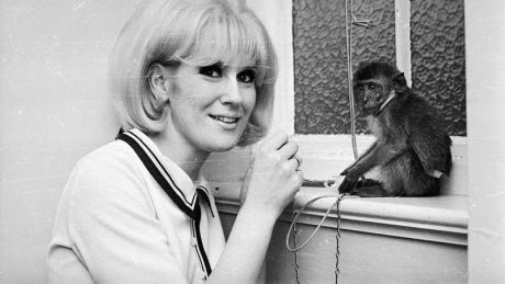 Dusty Springfield: Αγαπημένα τραγούδια της