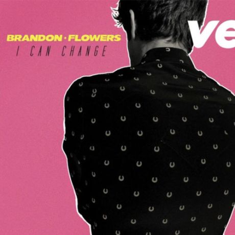  I Can Change -Brandon Flowers