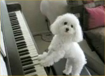 O Snoopy παίζει πιάνο & τραγουδά!