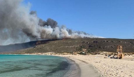 Έχετε πάει στην Ελαφόνησο;