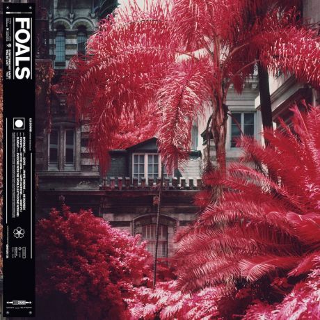 Exits-Foals