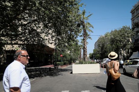 Οι φοίνικες της Πανεπιστημίου
