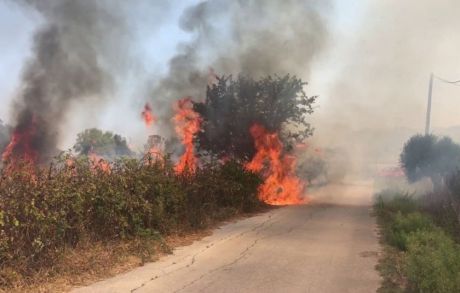 Πύρινος τρόμος στο Καπανδρίτι – Ανθρωποι φεύγουν από τα σπίτια τους