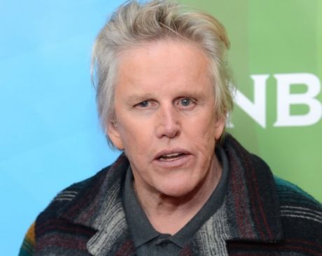 10 φιλμ με τον Gary Busey 