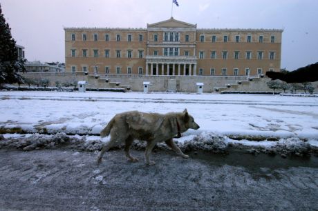 Γι' αυτούς που ψάχνουν τις ανακοινώσεις των κομμάτων για την χιονόπτωση