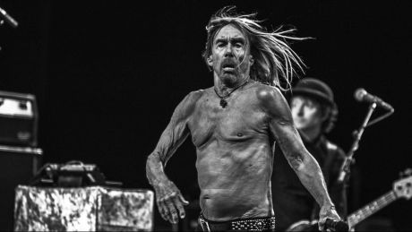 Όταν o Iggy Pop δεν ήταν και τόσο ροκ
