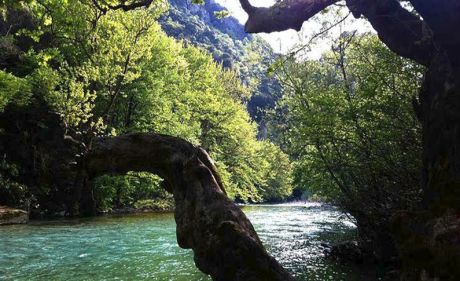 Η «Μέρα που ξεπεράσαμε τα όρια της Γης»