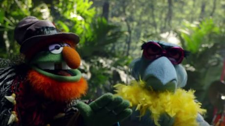 Jungle Boogie | The Muppets