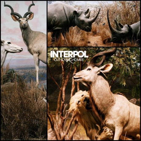 Interpol -Rest My Chemistry (2007)