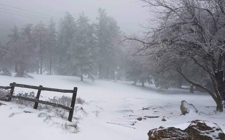 Στα λευκά «ντύθηκε» η Πάρνηθα