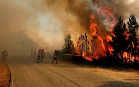 Η ζοφερή πραγματικότητα