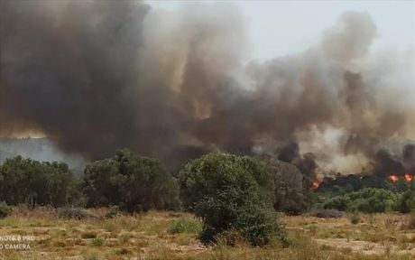 Φωτιά στη Ρόδο: Χωρίς ηλεκτρικό ρεύμα μεγάλο μέρος του νησιού -  Εκκενώθηκαν περιοχές