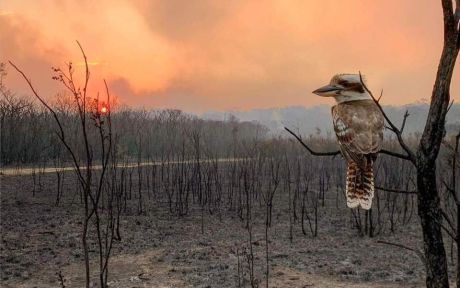 Η φύση εκδικείται τα σχέδια των πολιτικών