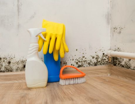 Πως μπορούμε να καταπολεμήσουμε τη μούχλα