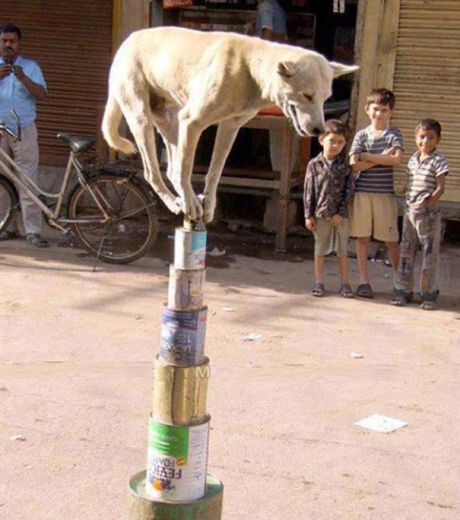 Στου κουφού την βρόντα, όσο θέλεις ...πόρτα