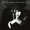 Whole Of The Moon-Waterboys (1985)