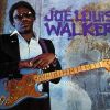 Joe Louis Walker